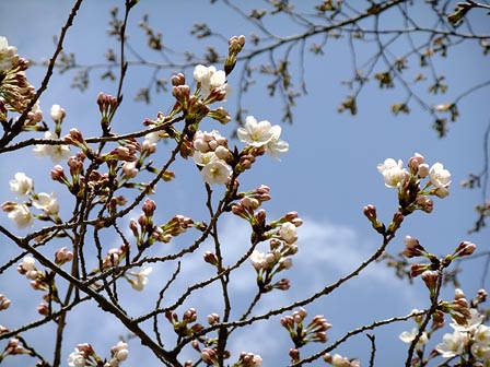 2014032902.jpg