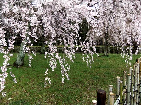 2014033002.jpg