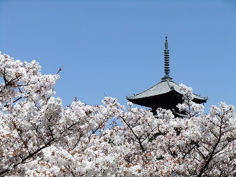 2014041401.jpg