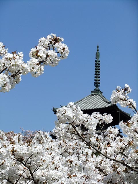 2014041404.jpg