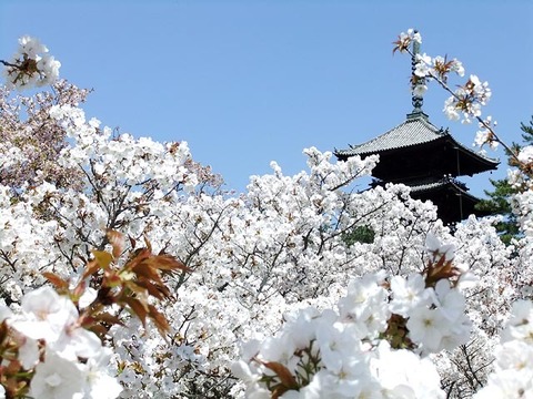 2014041405.jpg