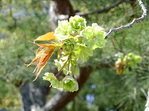 2014041406.jpg
