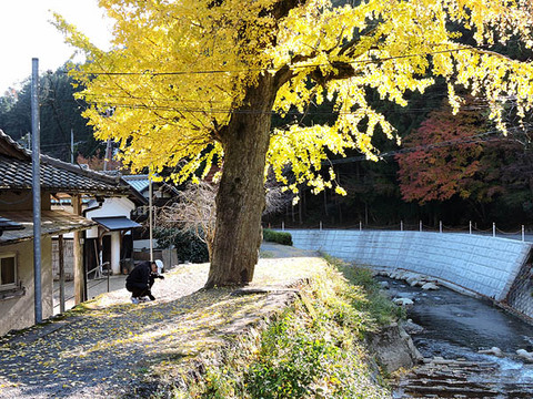 DSCN0681_600.jpg
