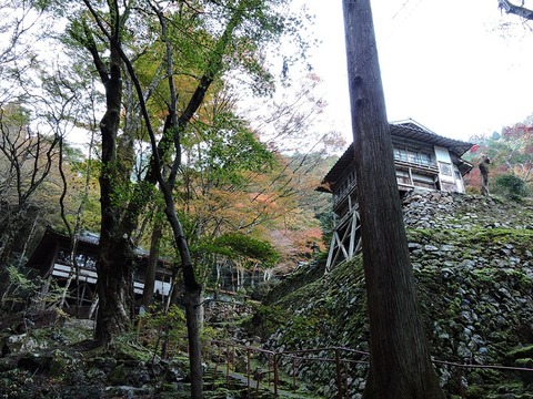 DSCN0700_800.jpg