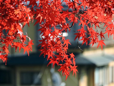 DSCN0777_600.jpg