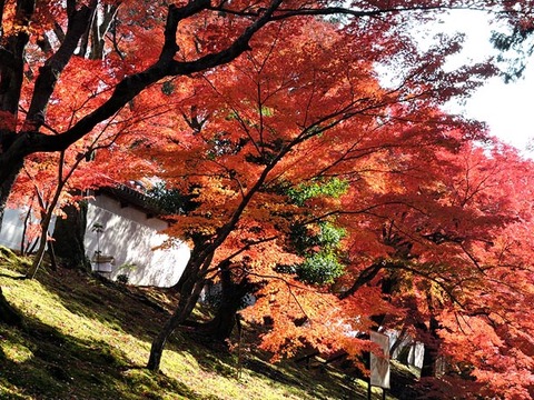 DSCN0886_600.jpg