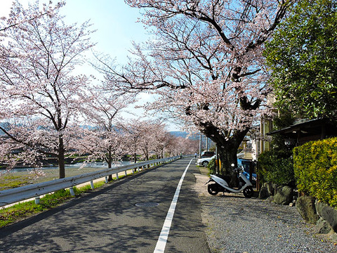 DSCN1199_600.jpg