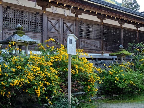 DSCN1451_600.jpg