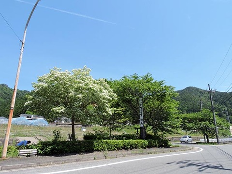 DSCN1530_600.jpg