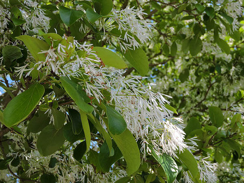 DSCN1539_600.jpg