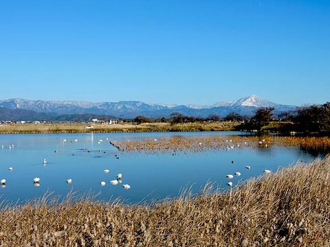 DSCN1809_600.jpg