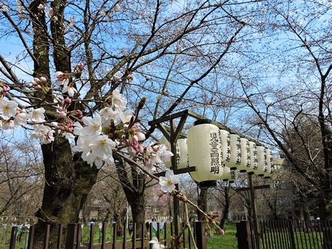 DSCN1976_600.jpg