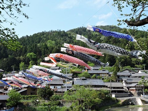 DSCN2661_600.jpg