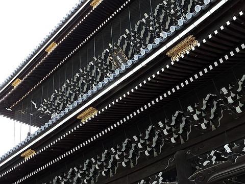 DSCN2813_600.jpg