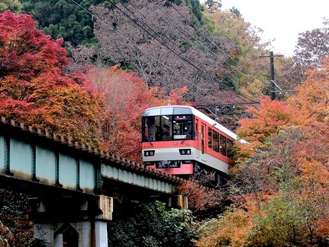 DSCN4233_600.jpg