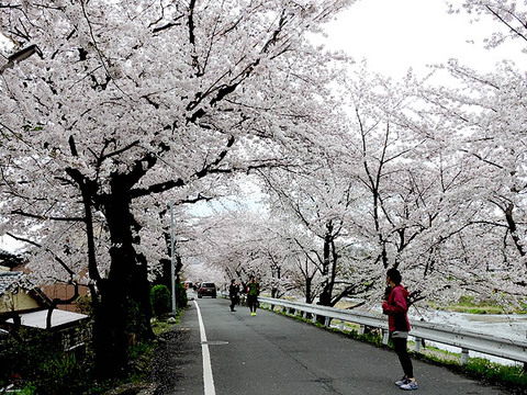 DSCN4517_600.jpg