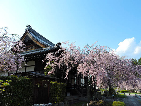DSCN4711_600.jpg