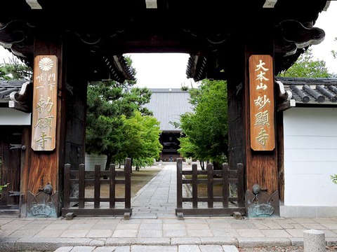 DSCN5103_600.jpg