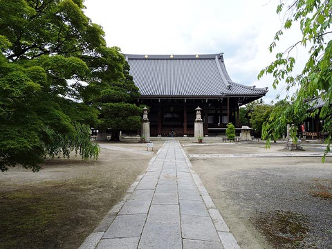 DSCN5106_600.jpg