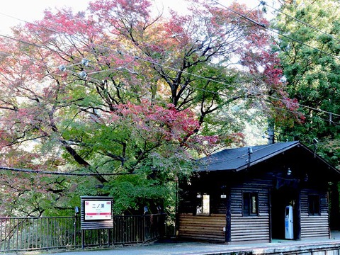 DSCN5747_600.jpg
