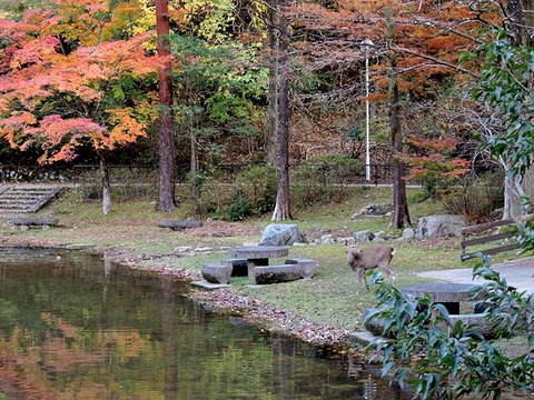 DSCN5889_600.jpg