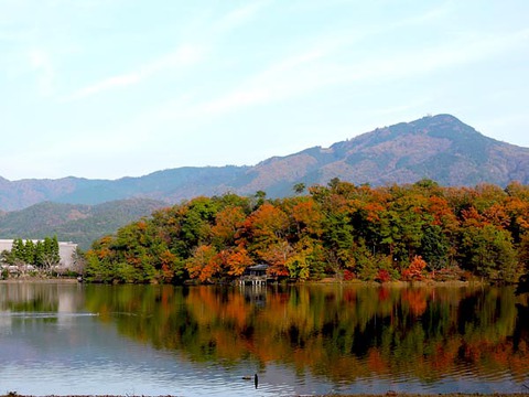 DSCN5895_600.jpg