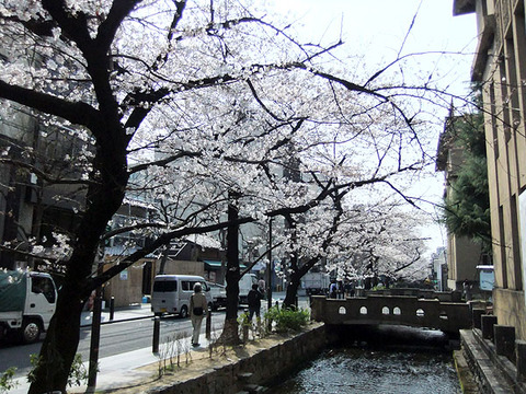 DSCF8673_600.jpg