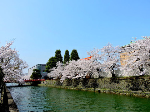 DSCN6545_600.jpg