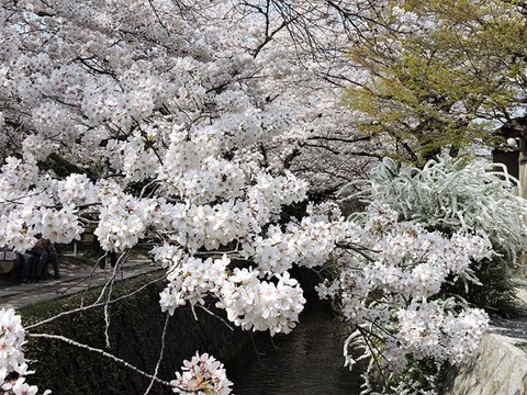 DSCN6600_600.jpg