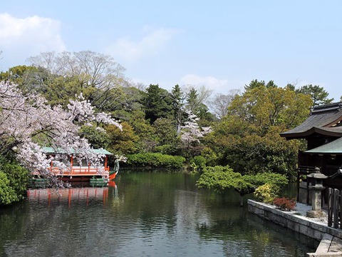 DSCN6815_600.jpg