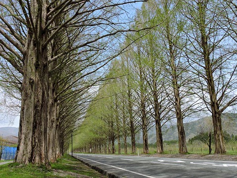 DSCN7038_600.jpg