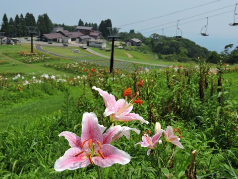 DSCN8164_600.jpg