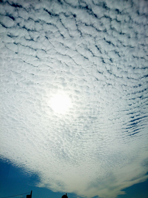 DSC_0476_600.jpg