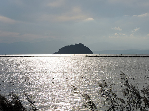 DSCN8465_600.jpg