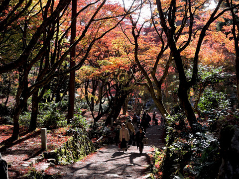 DSCN8601_600.jpg