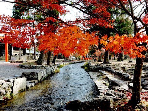 DSCN8816_600.jpg
