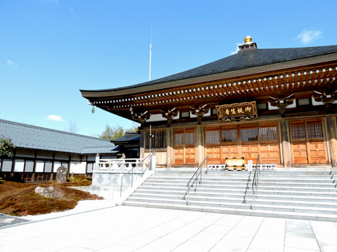 DSCN9340_600.jpg