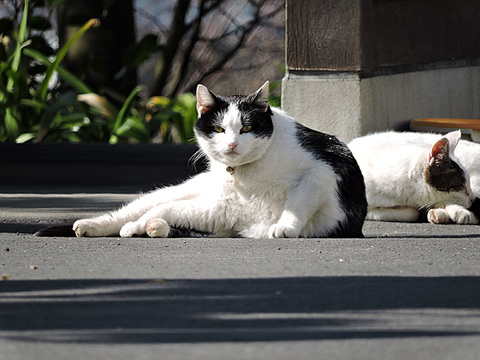 DSCN9353_600.jpg