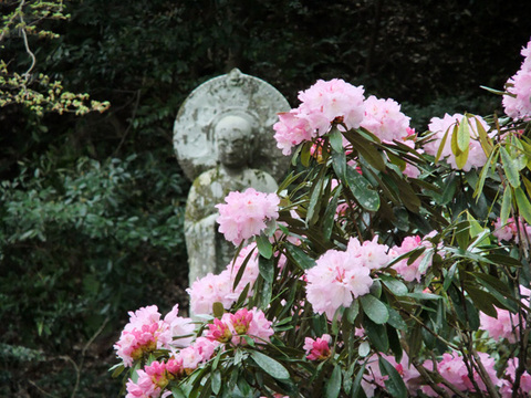 DSCF4563_600.jpg