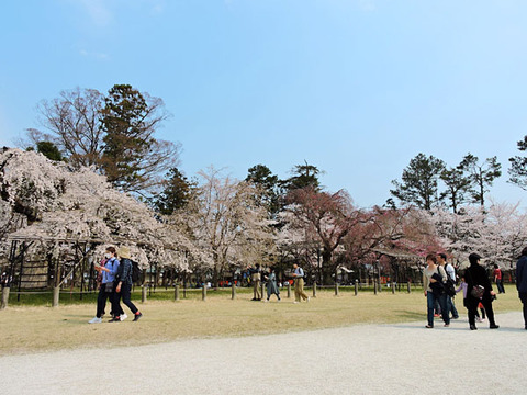 DSCN0017_600.jpg