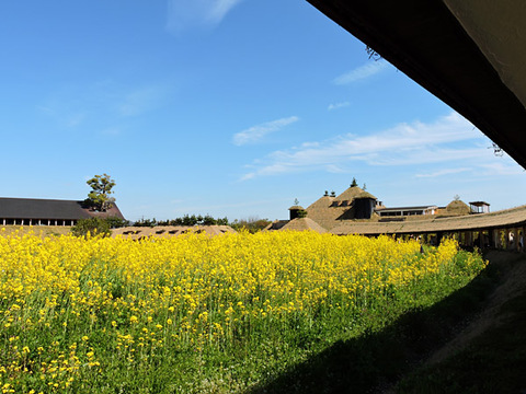 DSCN0502_600.jpg