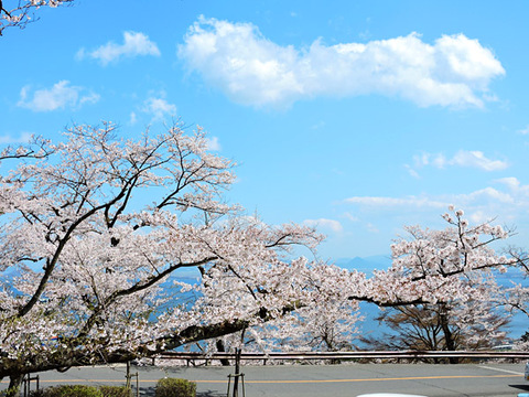 DSCN0702_600.jpg