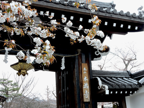 DSCN9390_600.jpg