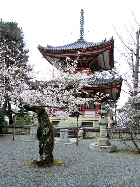 DSCN9540_600.jpg