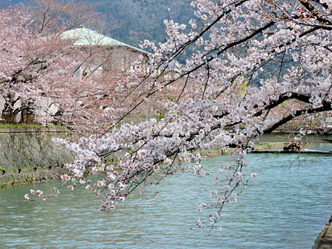 DSCN9582_600.jpg