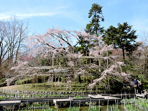 DSCN9769_600.jpg