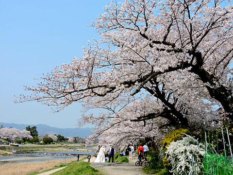 DSCN9866_600.jpg