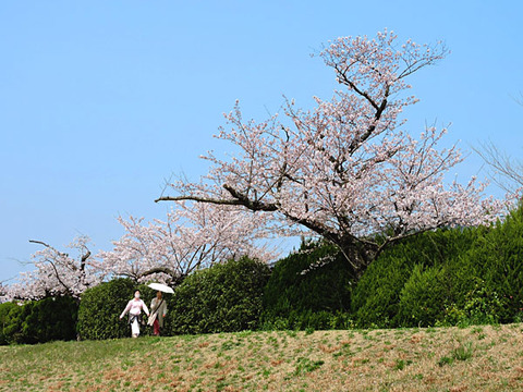 DSCN9880_600.jpg