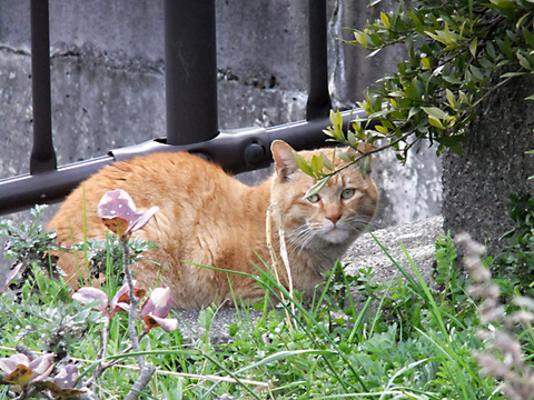 DSCF9288_600.jpg