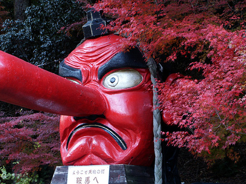 2005112602_600.jpg
